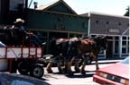 Photo of horse-drawn wagon by Angie Young
