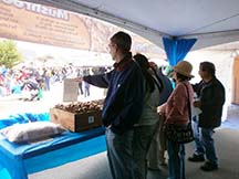 Photo of the Morgan Hill Mushroom Mardi Gras by writer Angela Young